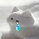 vivace | RRRAIM tweet media