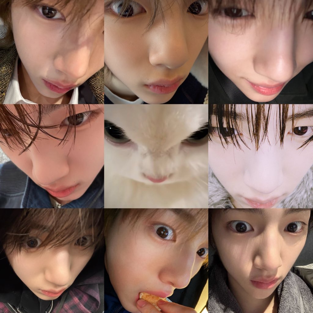 peachpepix's tweet image. เหมียวที่ไหนชอบเล่นกล้องเนี่ย 😾💢