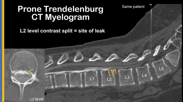 Mark Mamlouk tweet media