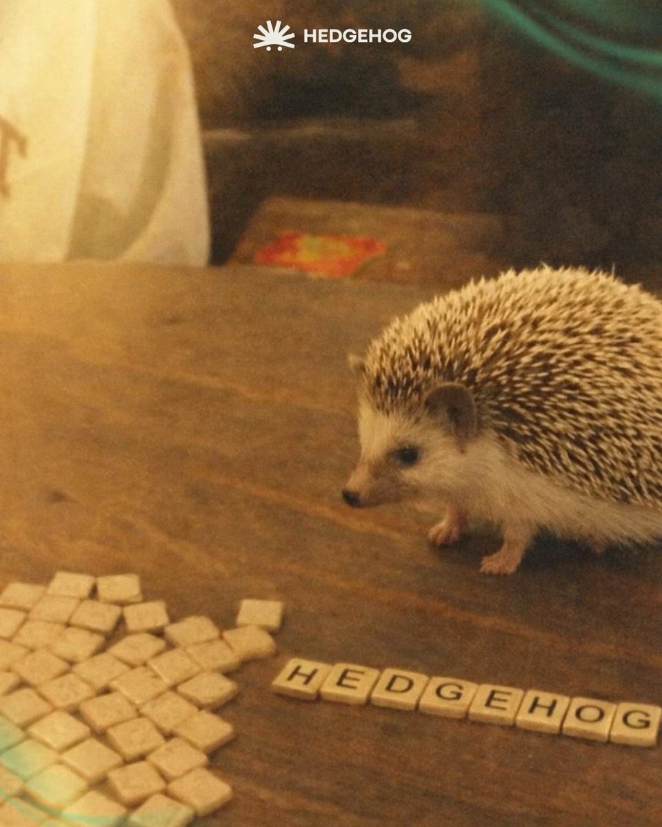 🚨 Reminder: we have a waitlist🦔

Get early access and what's coming in 2026! 

Sign up:

thehedgehog.io