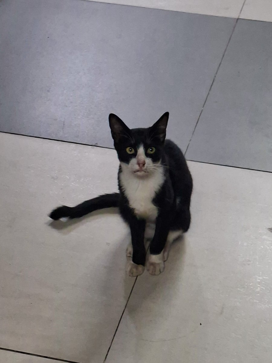 dumbledwar's tweet image. open.spotify.com/track/5J2CHimS…