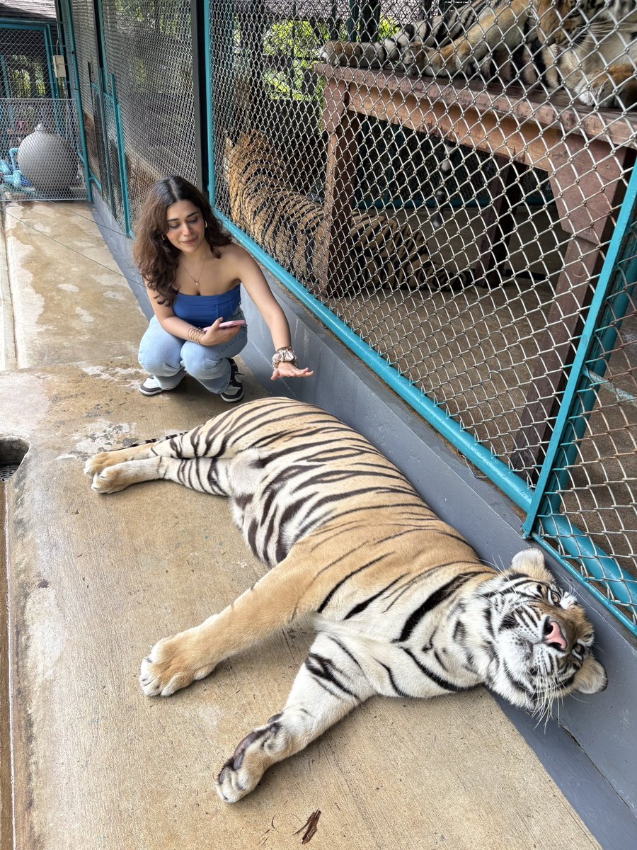 simran sachdeva tweet media