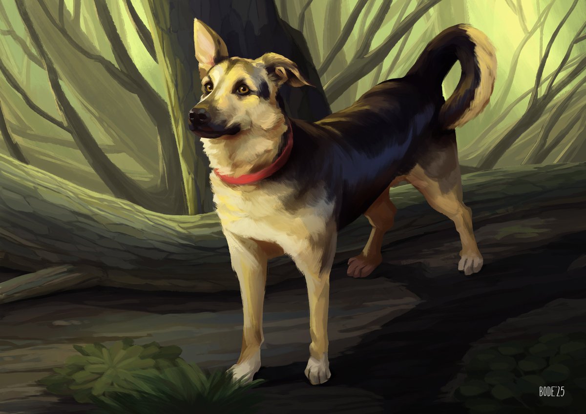 And here's the other portrait I was commissioned! This one's called Nefer and the portrait was a Christmas gift for the client's mother. I was told she really liked it and I'm so glad for that ☺️

#dog #digitalart #puppy #portrait #illustration