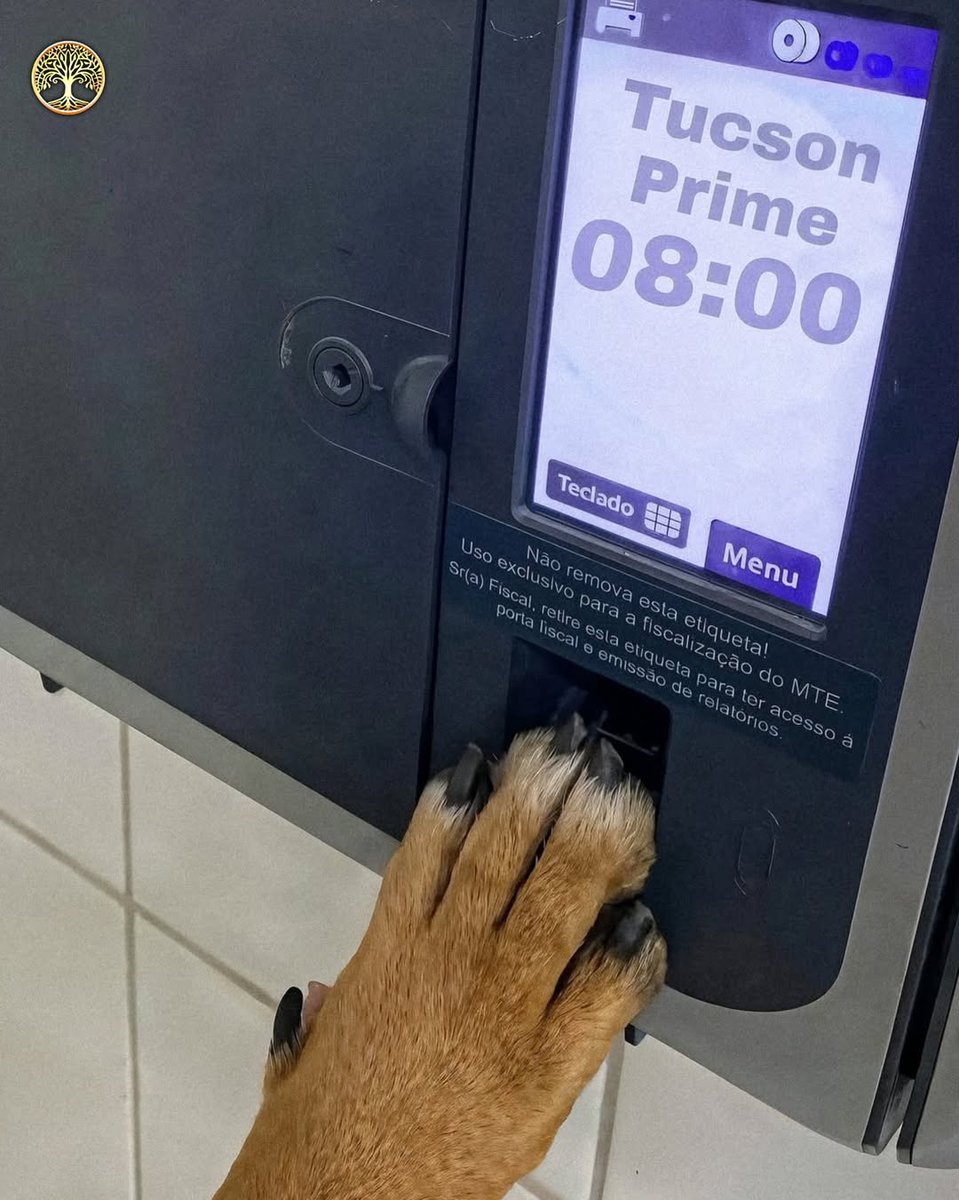 AcervoCharts's tweet image. Cachorro que vivia em concessionária é adotado e vira vendedor de carros no Espírito Santo.