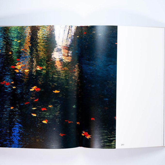 モネやクリムトの色彩の美学を思わせる、目の眩むような美しさの写真集。