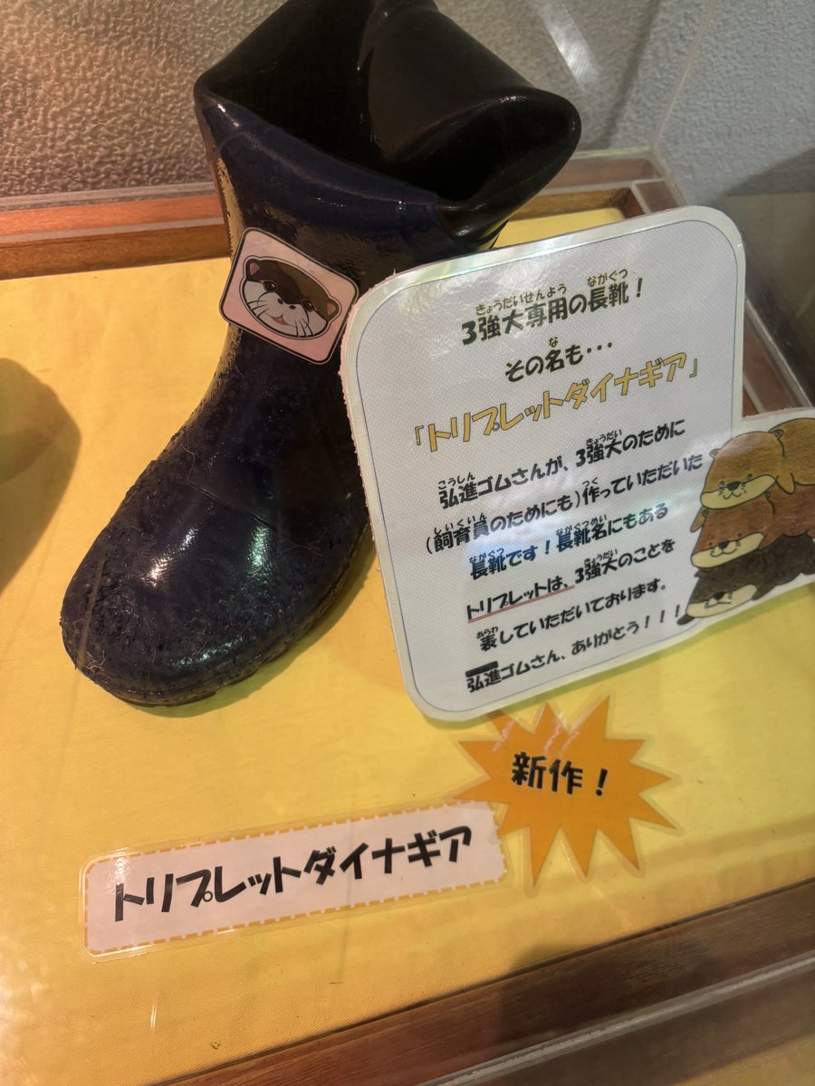 サンピアザ水族館のコツメカワウソ三兄弟もとい三強大と弘進ゴム製の長靴による長きにわたる戦いの記録と、それに巻き込まれた飼育員のズボンの話。
新作！じゃねえのよ。
件の三強大はハンモックで三匹仲良く団子になって寝てました。