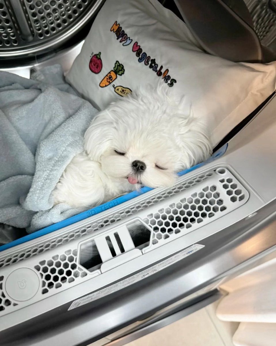 슬롯나라⩤ ＫＲ.ＦＯＭＯ.ＩＯ ⩥테더슬롯.mkt