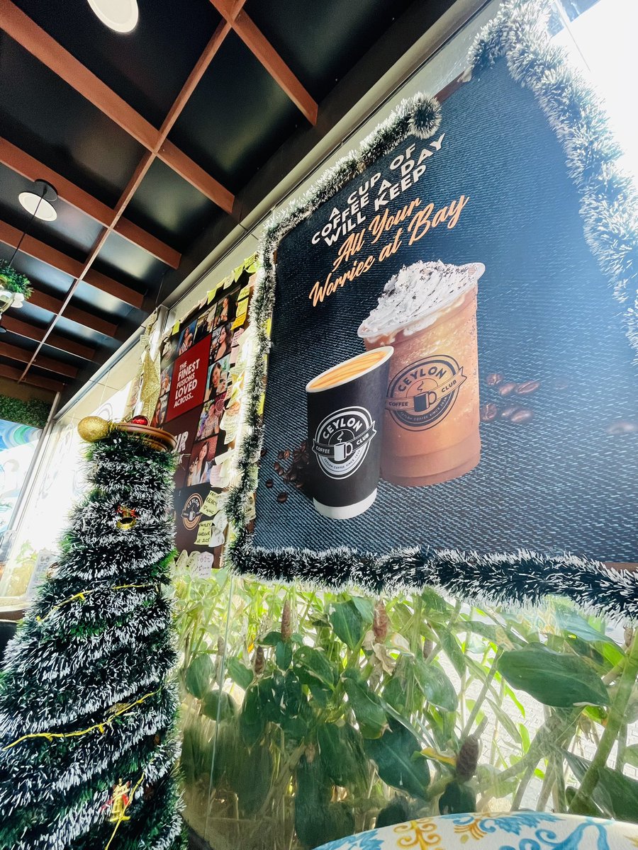 Coffee OR Me 🫣✨