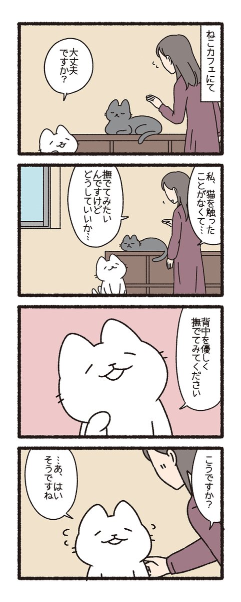 pandania0's tweet image. ねこようかい　ねこまた　その１０