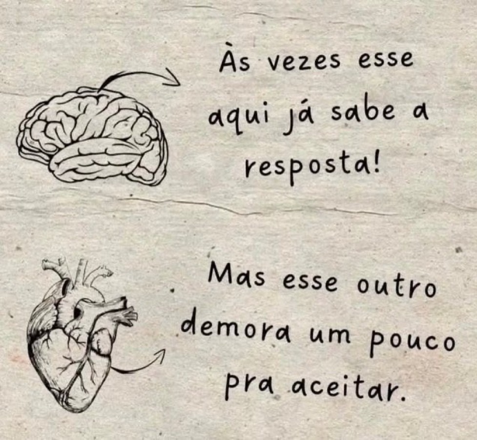 doimaszpassa's tweet image. 