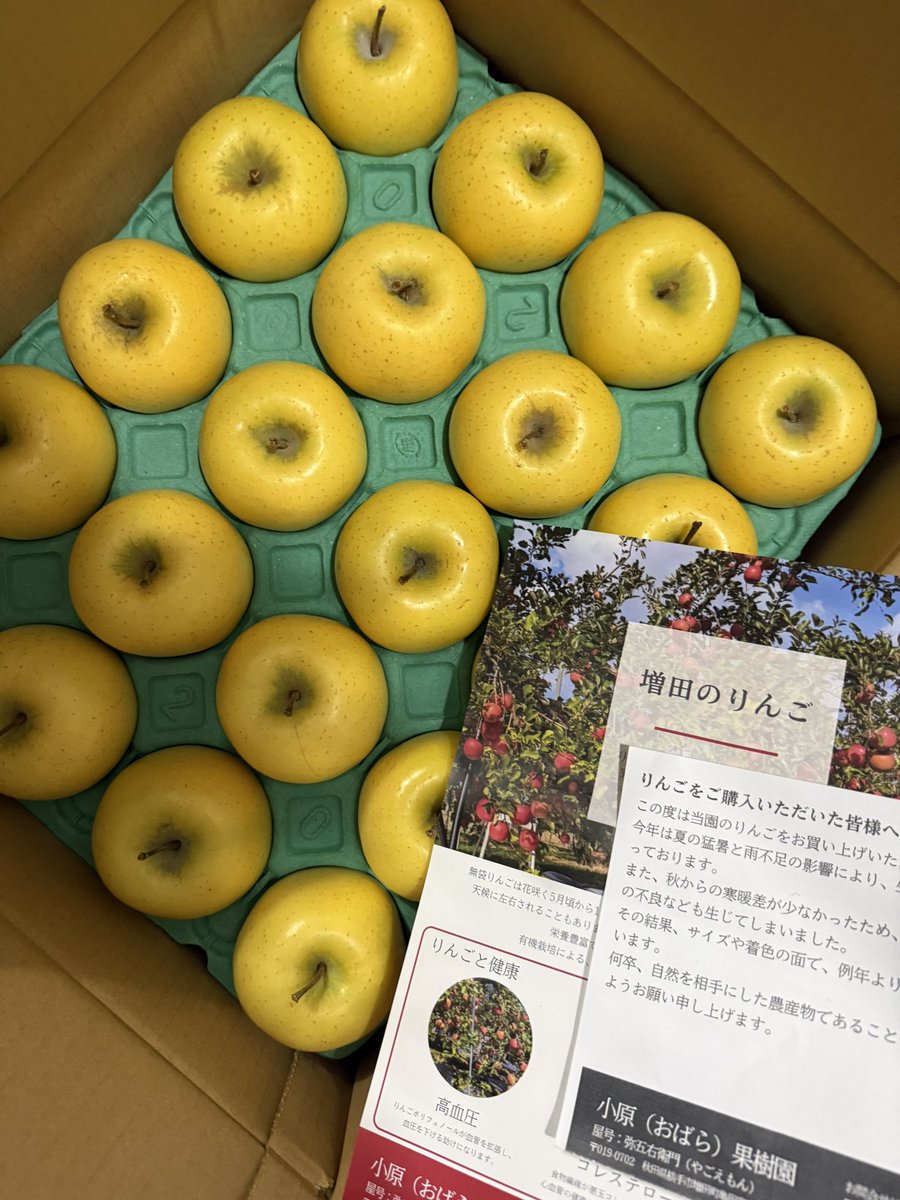 2つの振り付け現場にin！コメディとシリアスと真反対の舞台にワクワクしながら振り付けさせていただいておりますっ💃写真は制作や裏方業務で大変お世話になってるてらさんのご実家のりんご農家から取り寄せました🍎めちゃくちゃ甘くて美味しすぎる〜！さぁて今日はあと１本打ち合わせいってくる〜！