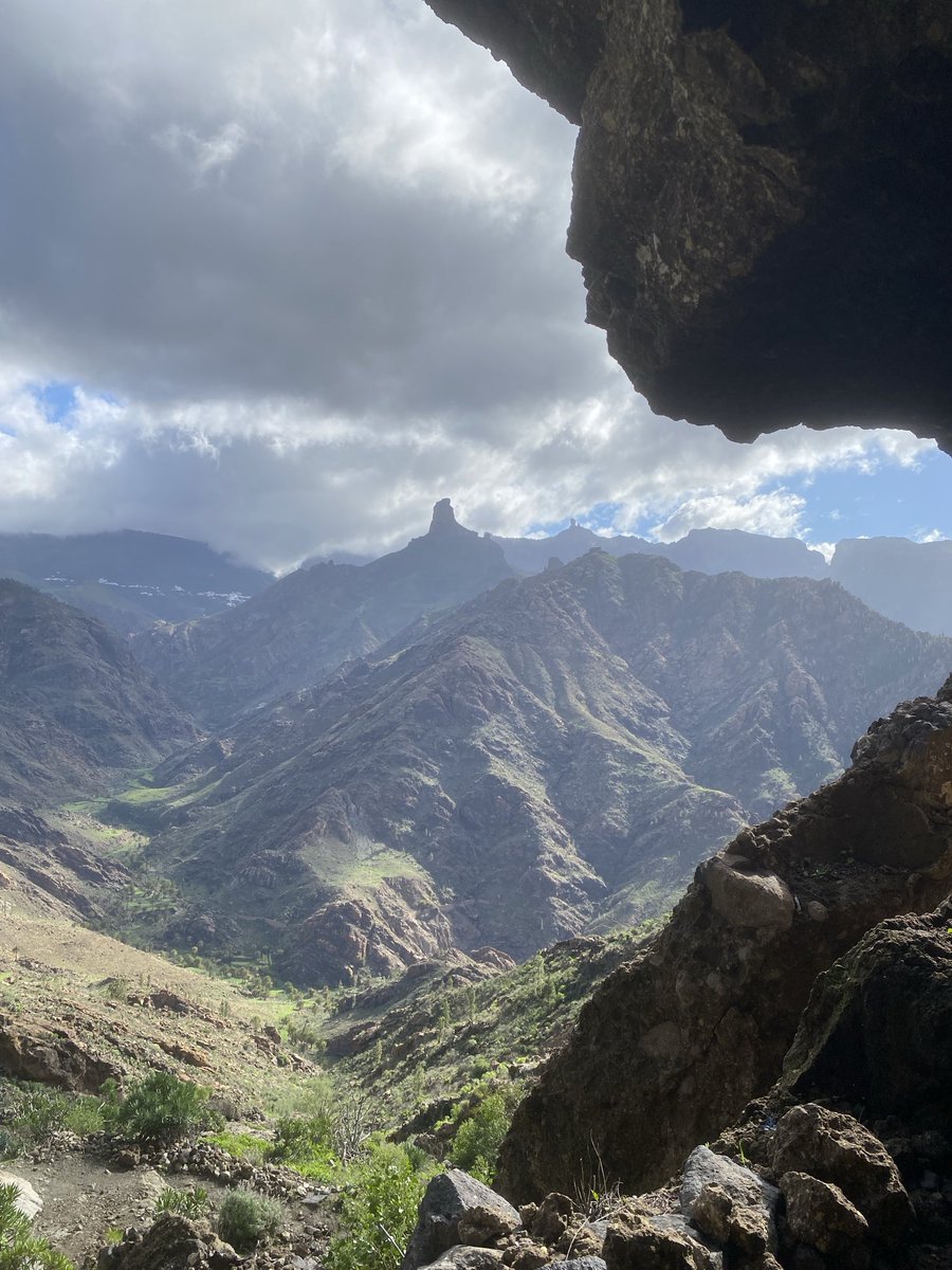 mick conefrey tweet media