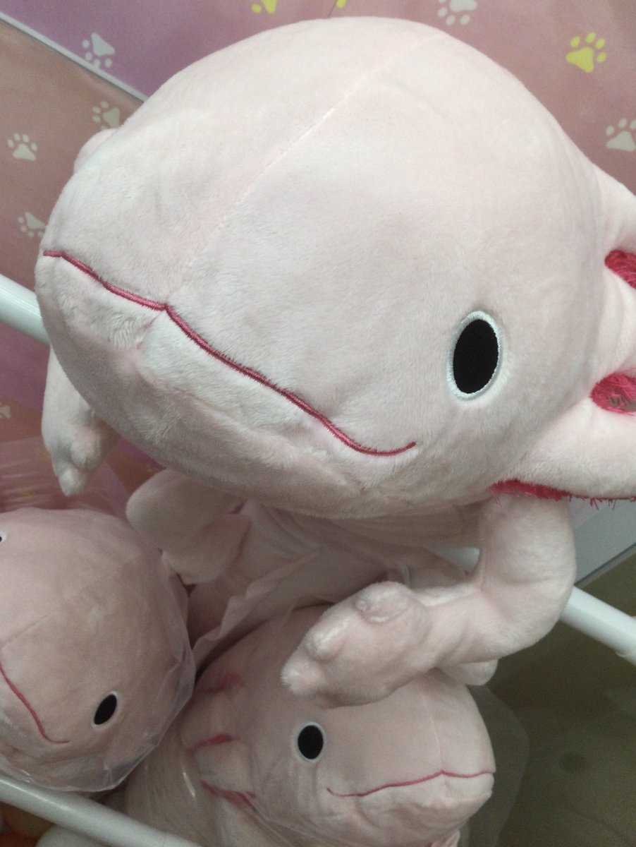 プライズ入荷】 『わくでかぬいぐるみ 珍獣捕獲シリーズ～メガ