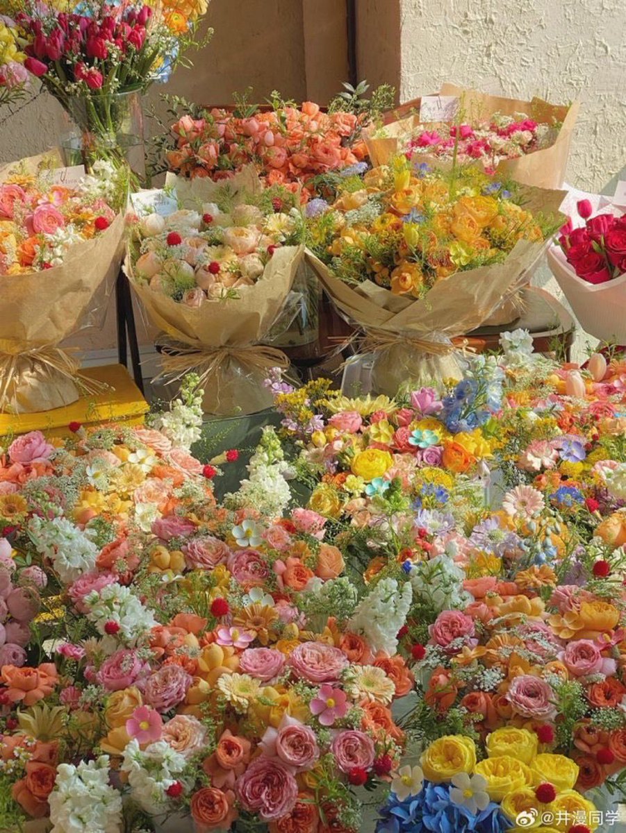 𝗟𝗲𝗲𝗻 (@1leio) on Twitter photo 