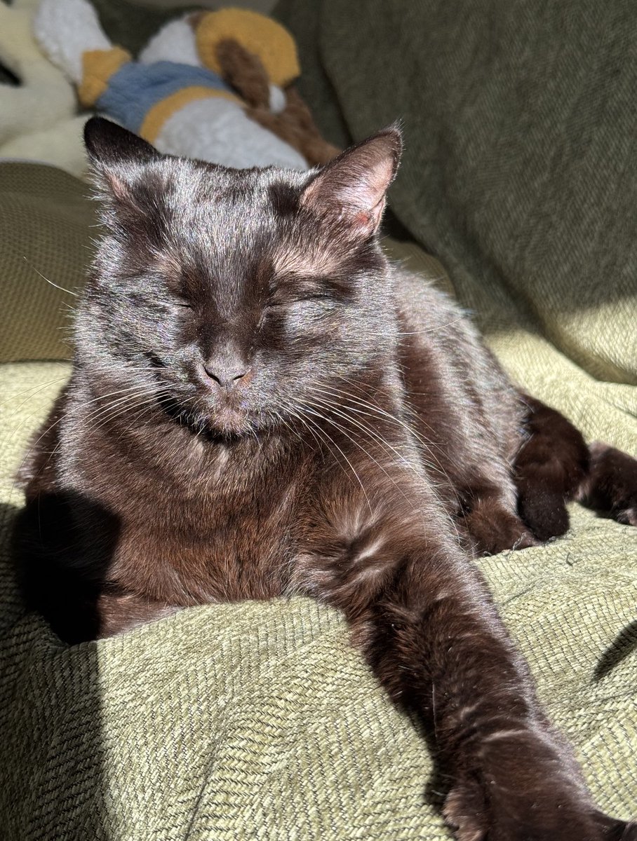 The charm of the sun