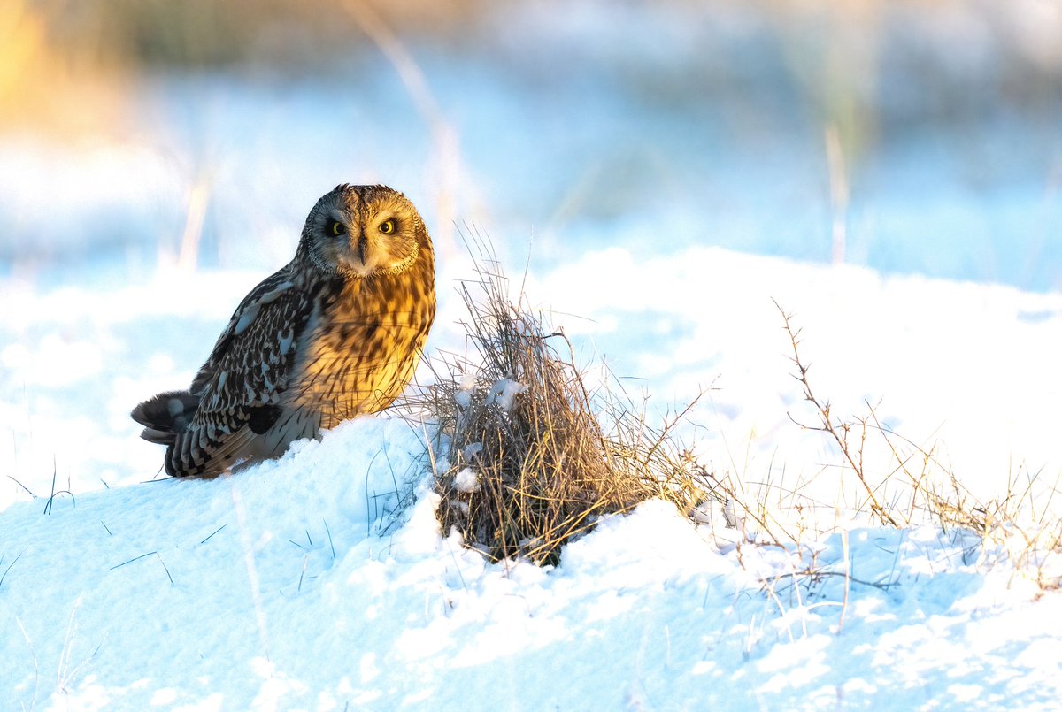 Jon Kelf tweet media