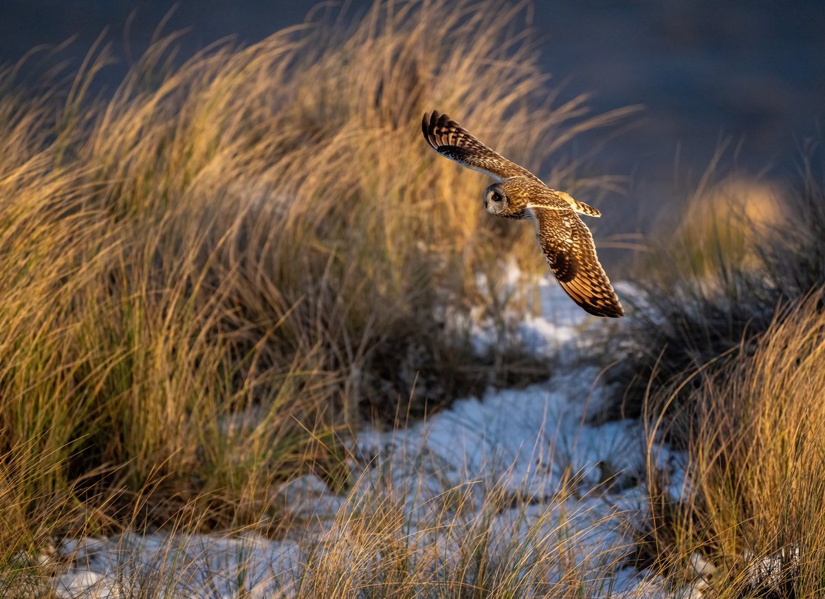 Jon Kelf tweet media