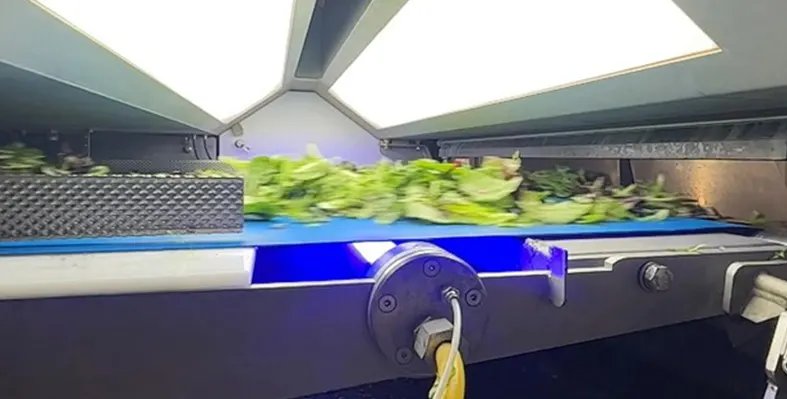 FEAgriculture's tweet image. COMPASS: smart optical sorting for leafy greens

Designed for early-stage processing, COMPASS helps processors address one of the most critical challenges in leafy greens operations foreign material contamination.

Read more:zurl.co/xjI41
#agritech #technology #sorting