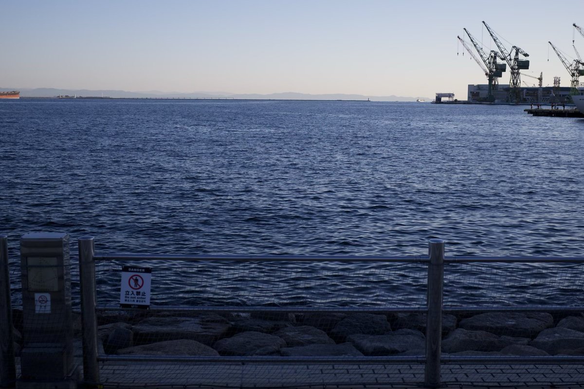 蟹黄堡 tweet media