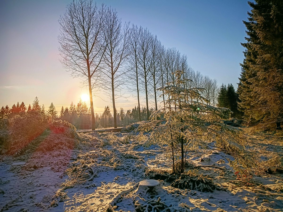 Don't show this picture to Trump. He might want this area of Denmark too