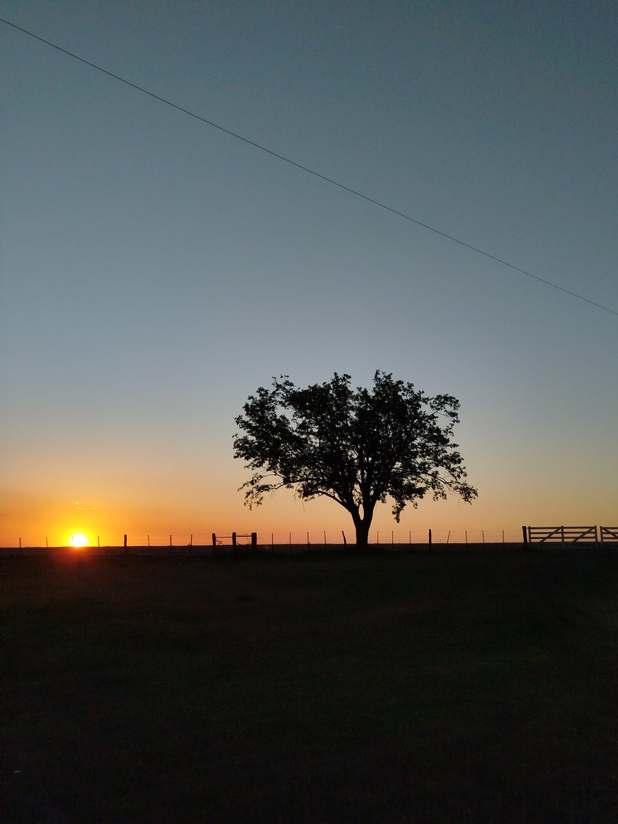 07/01/2026. Cercanías del Rio Gualeguay, también cerca de Dios.