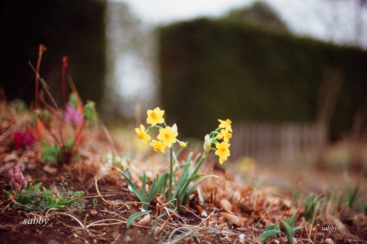 文字だけで
手をのばしたら
そこに居るような
近くて遠い
あなたの存在

#provia100F