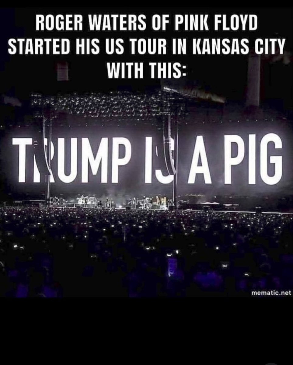 glenn_tunes's tweet image. AGREED 🖐️🖐️ DIRTY DON IS A PIG 🖐️🖐️🖐️🖐️🖐️🖐️🖐️🖐️🖐️🖐️🖐️🖐️