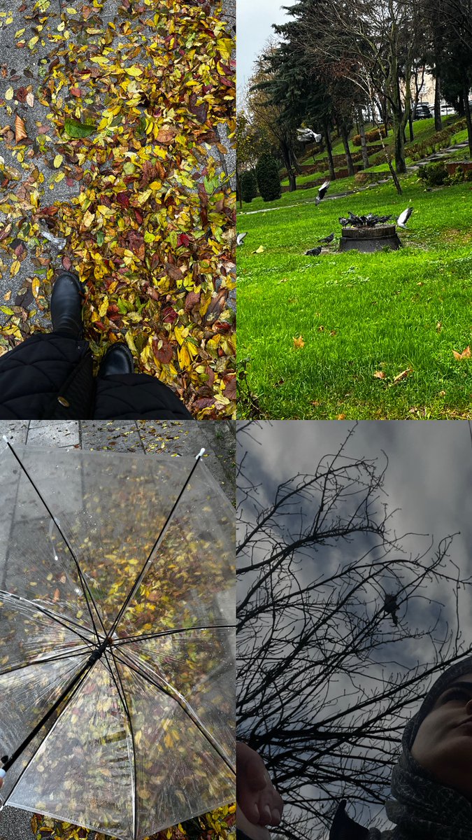 "Kendi yolunu kabullen.
Kendi hikayeni sev.
Olduğun yeri oldur.
Olmayanı yok say.
Hayat, olmayana ağıt yakacak kadar uzun değil.."🤍