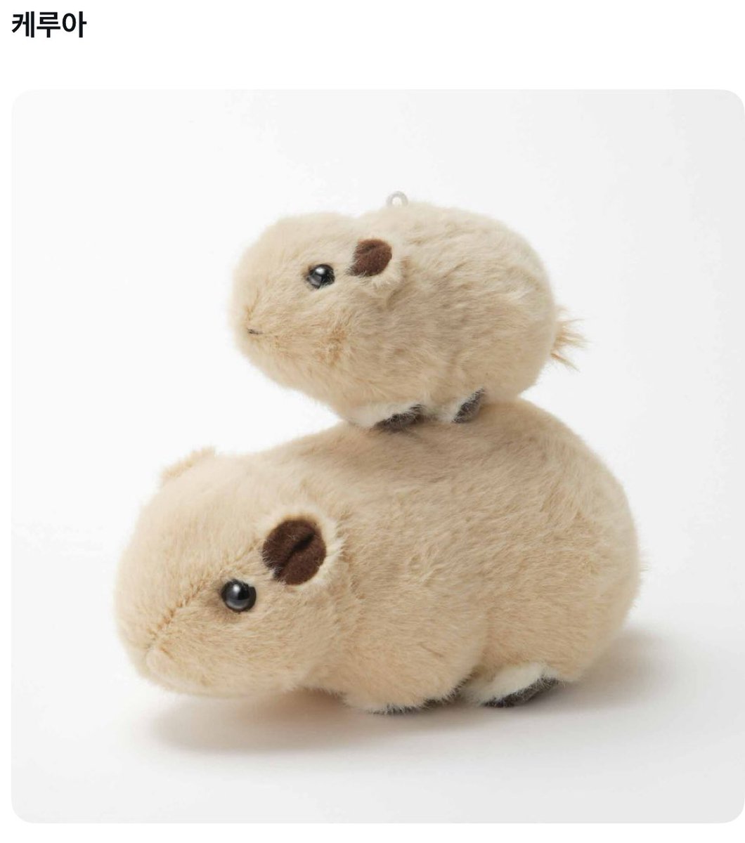 ㅅㅇ (@dais2kiki) on Twitter photo 