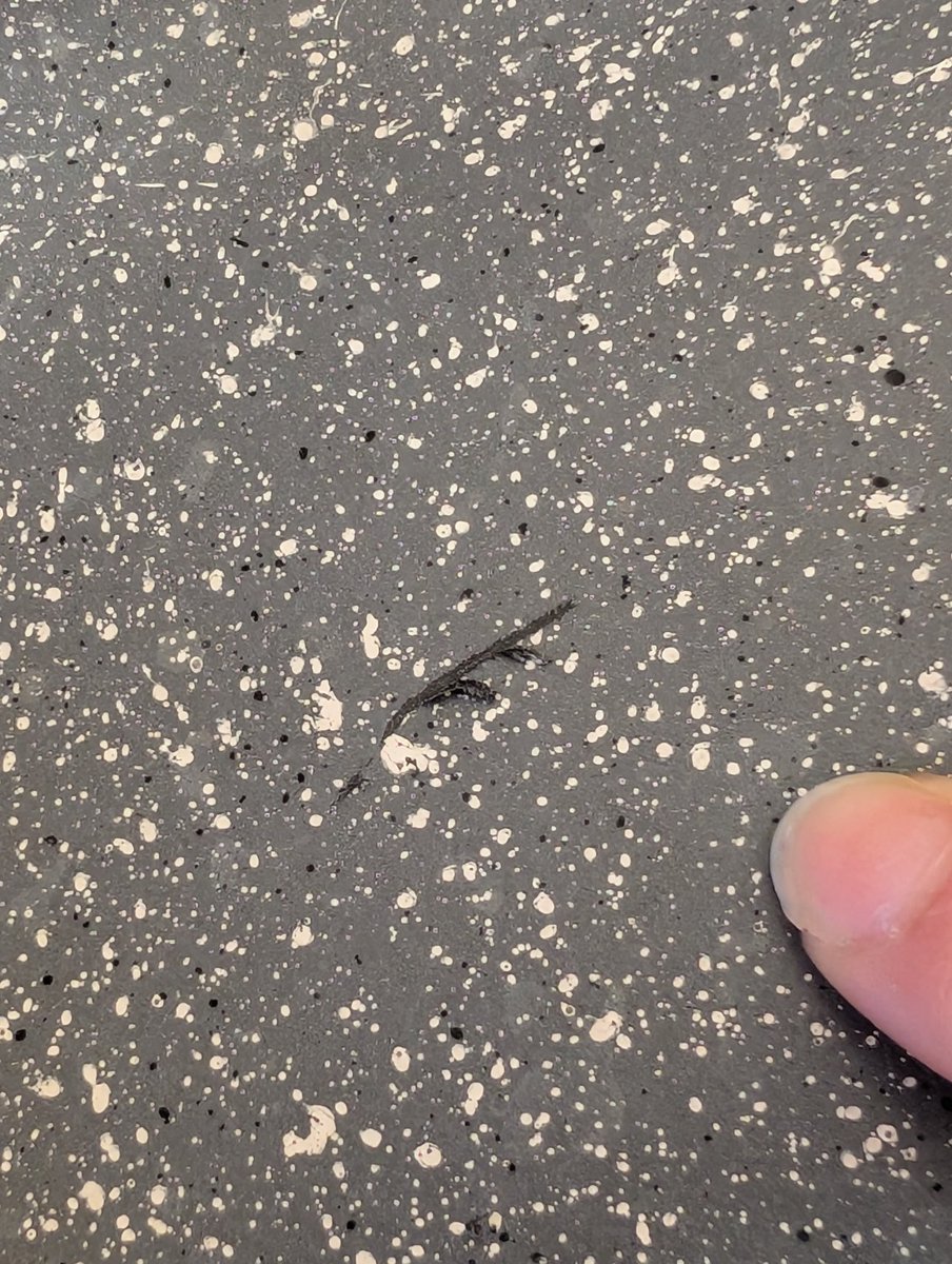 Papà non ha mai cucinato in vita sua e da quando è morta mamma ha provato a farlo un paio di volte. Mamma ci ripeteva mille volte di stare attenti e io lo stesso, ma ha usato il FORCHETTONE d'acciaio per prendere gli spaghetti. 
😩😭