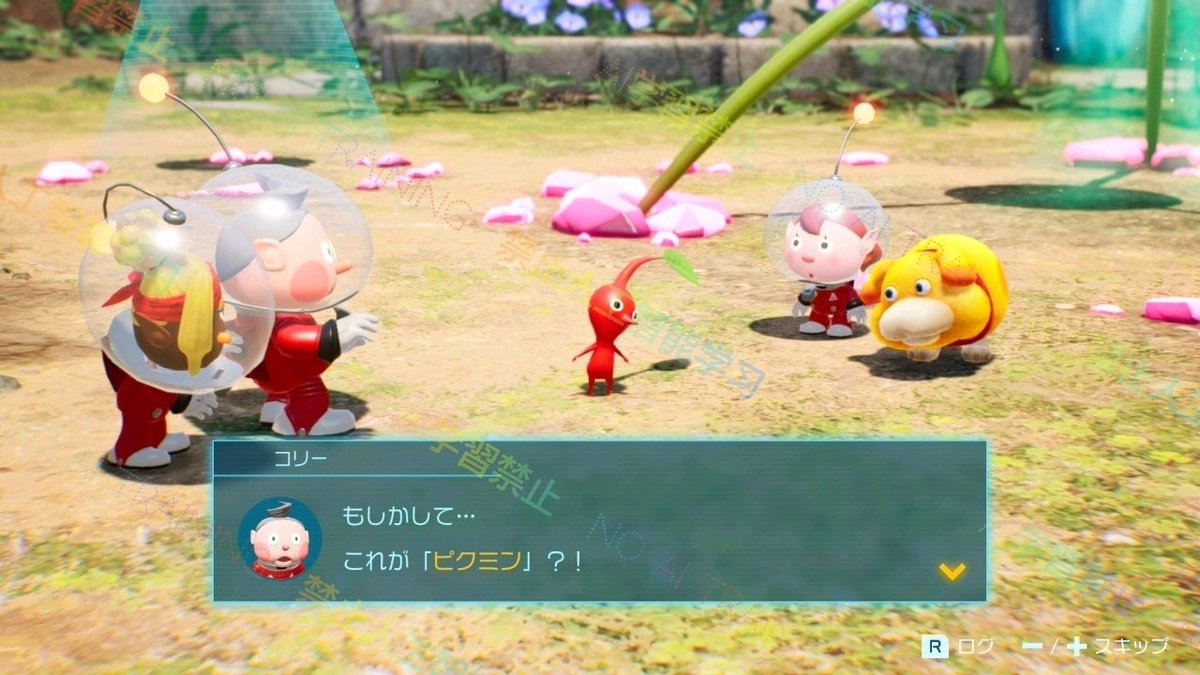 plus3_san's tweet image. おう、見ない顔やな？
新入りか？
↓
あぁ？
何ガンくれとるんやワレ!?
↓
待たんかいゴラァ!!
↓
少し図体がデカくなったからって調子コクんじゃねぇぞ（ﾄﾞｽﾄﾞｽ）

↑毎回こう見えてるw

#pikmin4