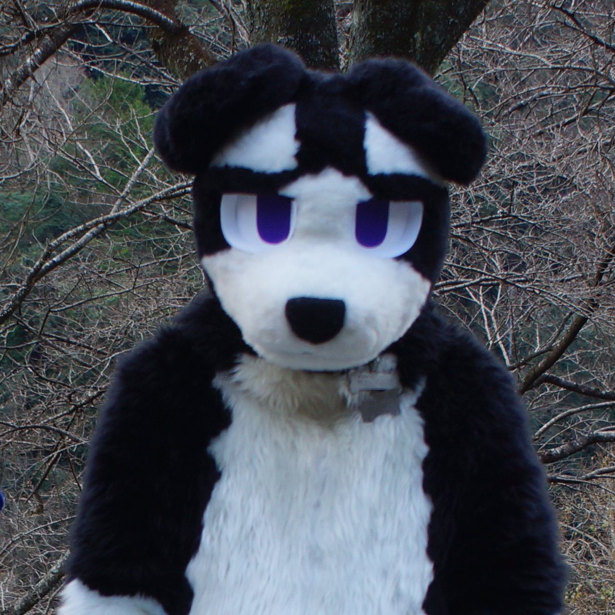 JMoF2026で会えません