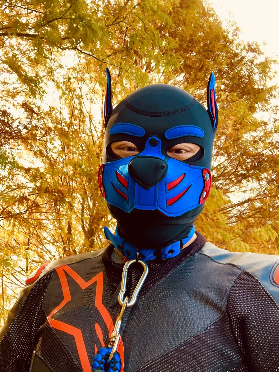 appliedforfun's tweet image. AI調的好可愛🐶