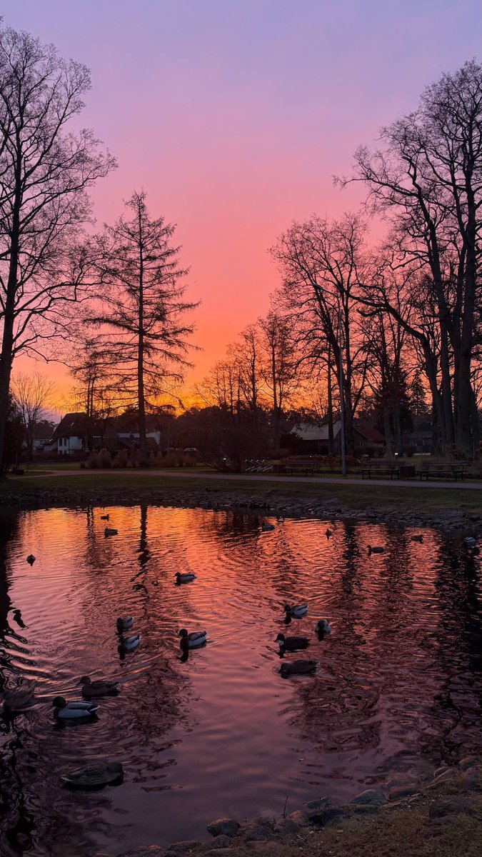 Šodien plkst. 15:10 mēs šķērsojām robežu, un jau četrus gadus mūsu mājas ir Latvija- mierīga, nesteidzīga, melodiska un mazliet skumja 🧡