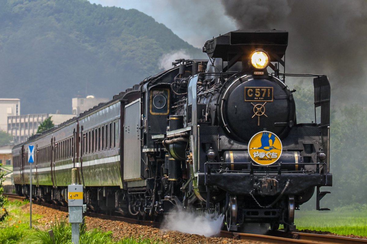 みどはた (@MyDear_TRAIN) / Posts / X