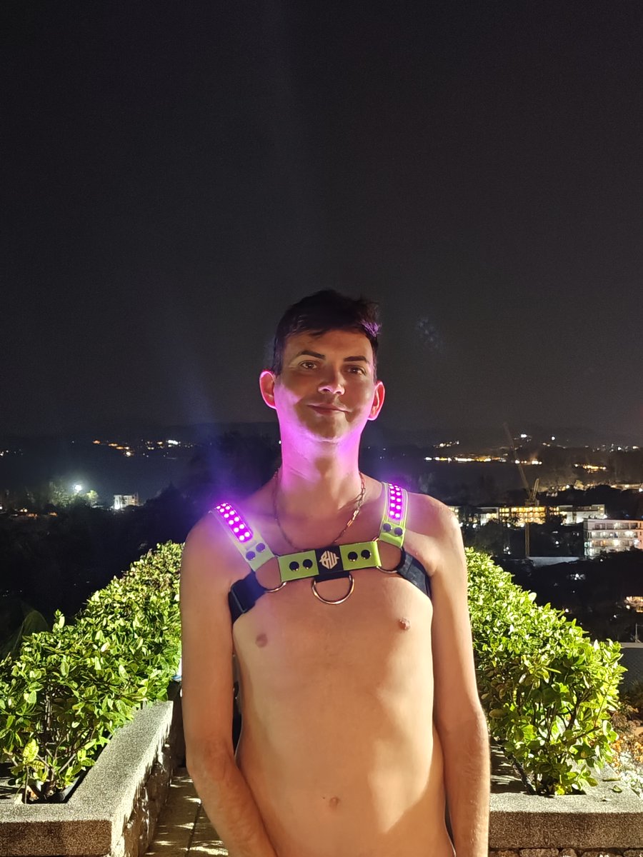 Everything To Sea tweet media