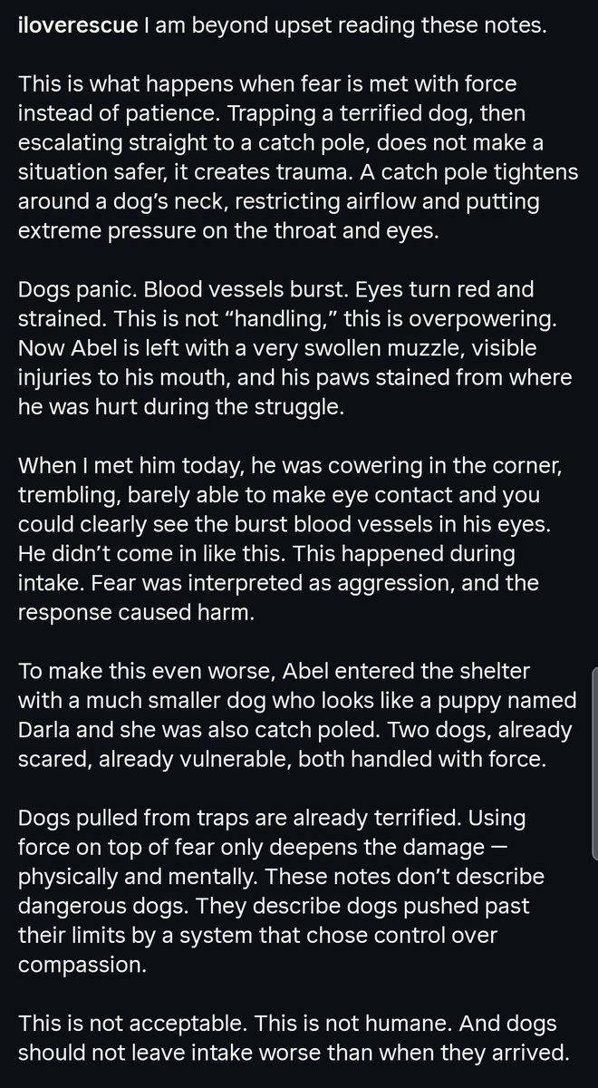 8415_n's tweet image. Please #BEWARE &amp;amp; #share this #fraud account @animalsrescueusa on #instagram (~100k follower!) which is stealing donations!
They never share the location of the dog &amp;amp; Animal ID#. All they got is a Paypal donation page.
Dog in the video was shared by volunteer iloverescue #Devore