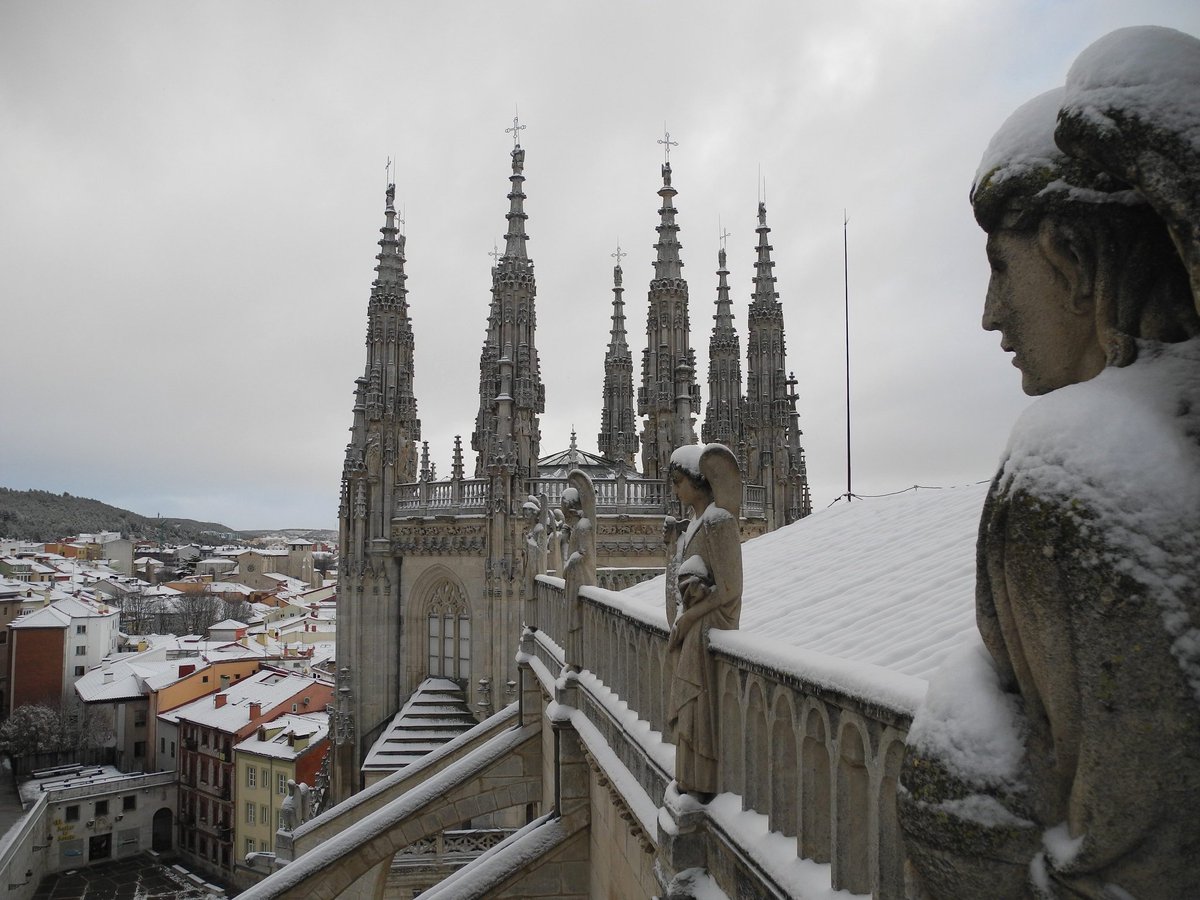 José Antonio Gárate tweet media