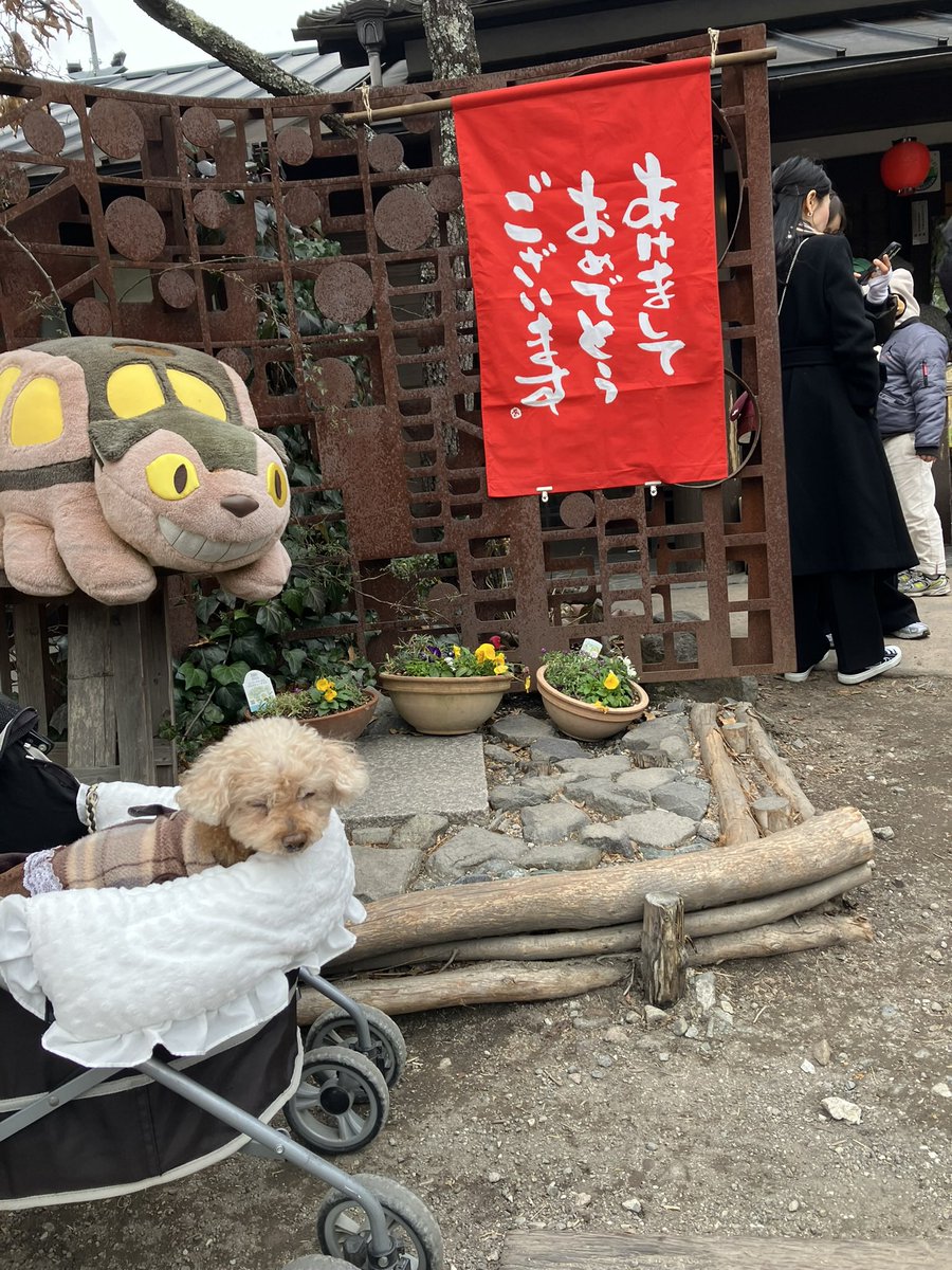 WTB Taiさん tweet media