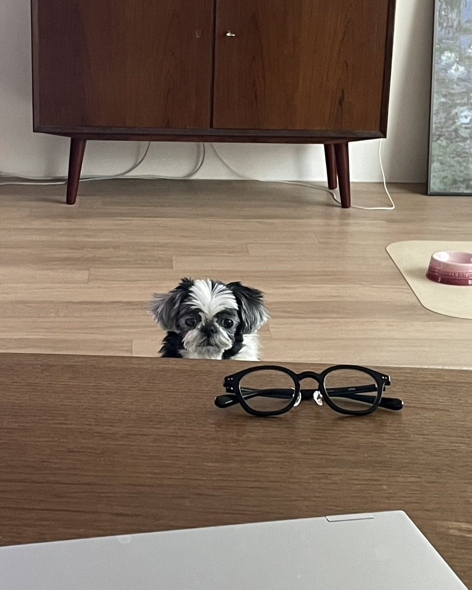 앉아서 일하는데 정면에서 간식달라고 레이저를 쏘고 계심 계속.. 그저 눈빛만.. 너무 무서워