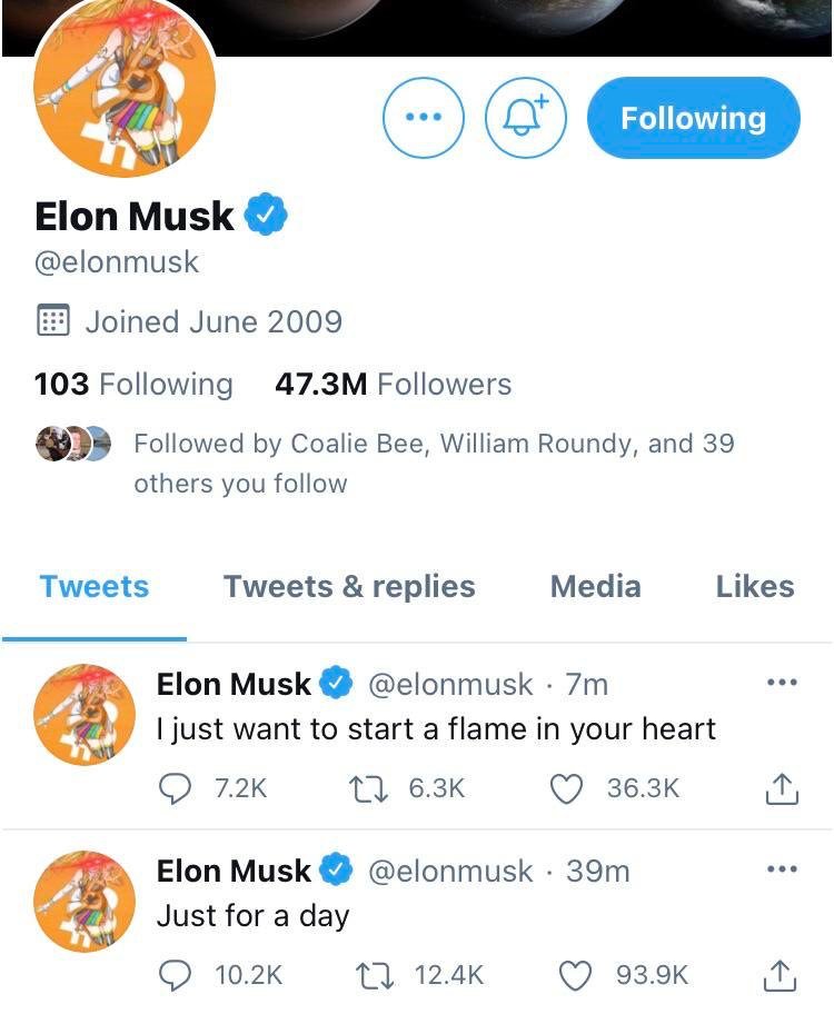 ZestySpiceIce's tweet image. Back when Elon was rocking that Cryptocurrency Girls pfp $CG