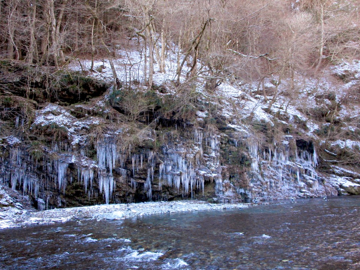 寒さ厳しい奥秩父の名所「三十槌の氷柱」 岩清水が凍り作り上げられる