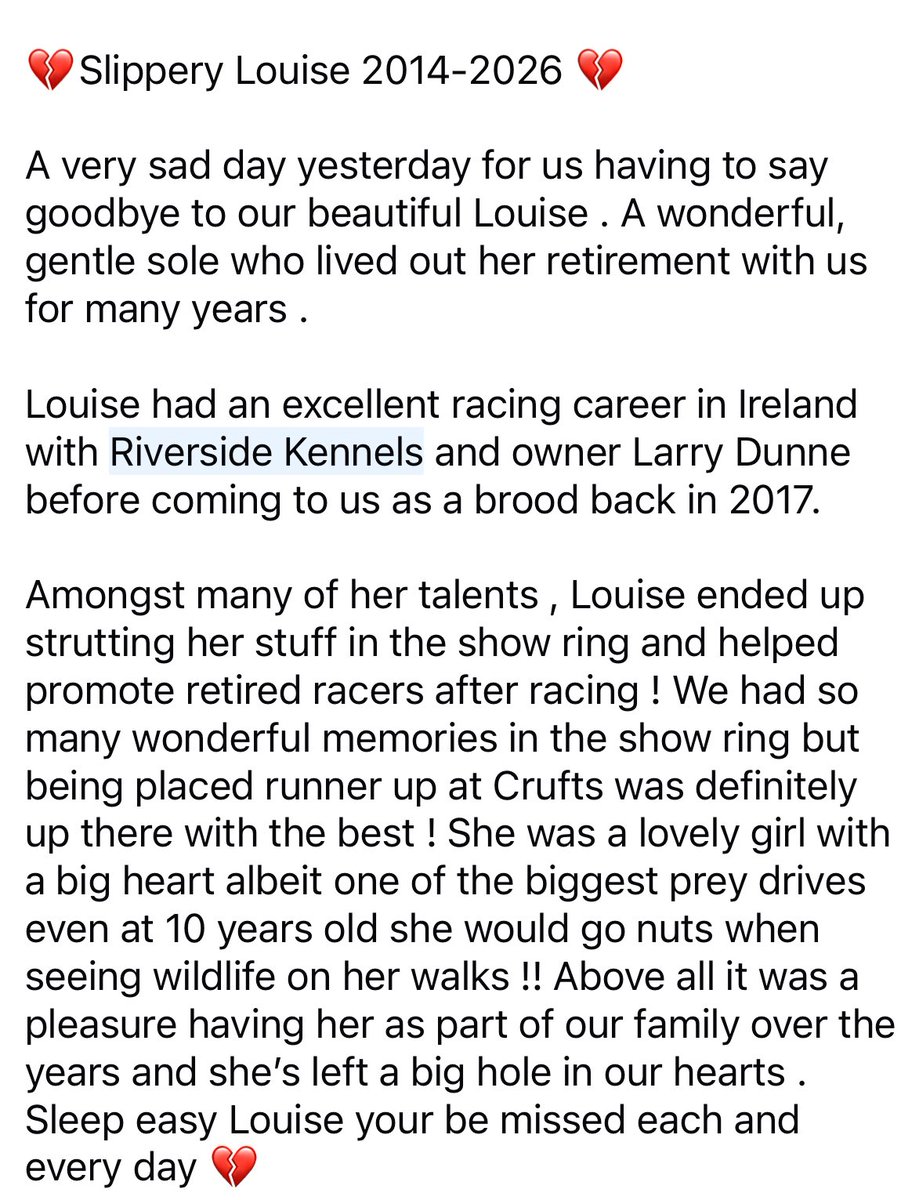 Adachi Kennels tweet media