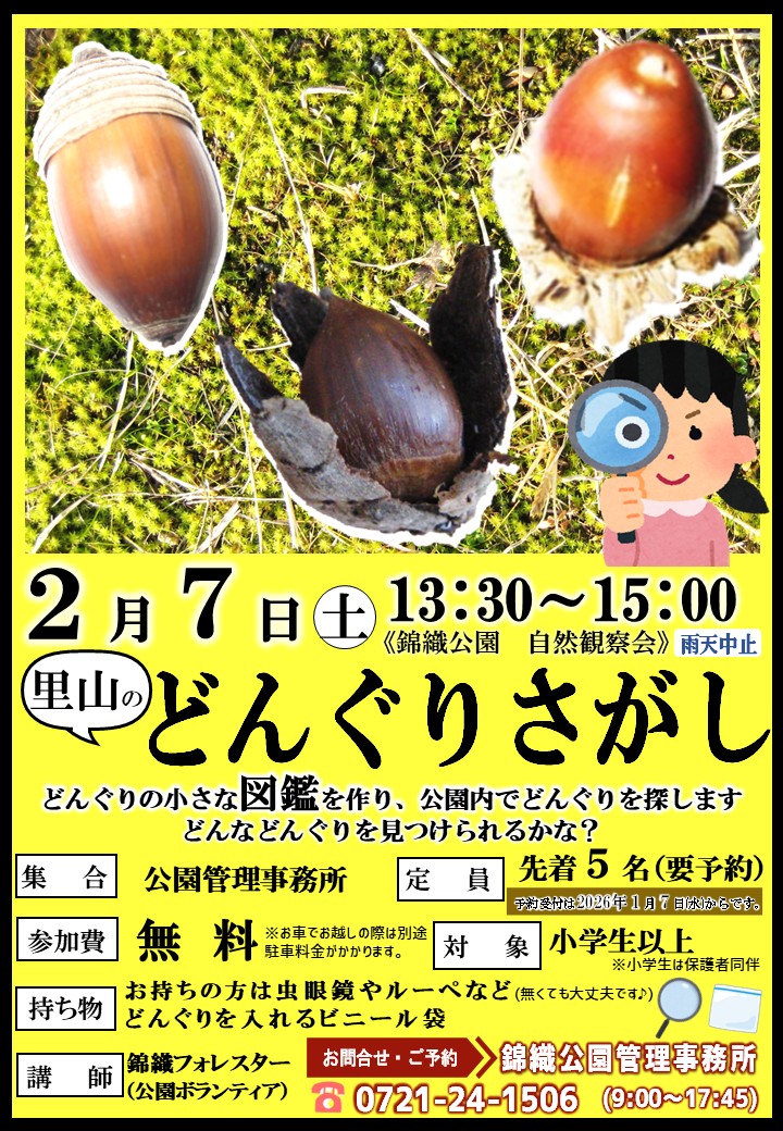 2026年2月7日(土)「里山のどんぐりさがし」を開催します😀どんぐりの