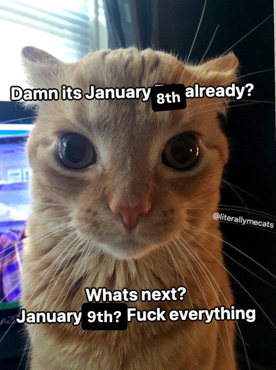 literallymecats's tweet image. 