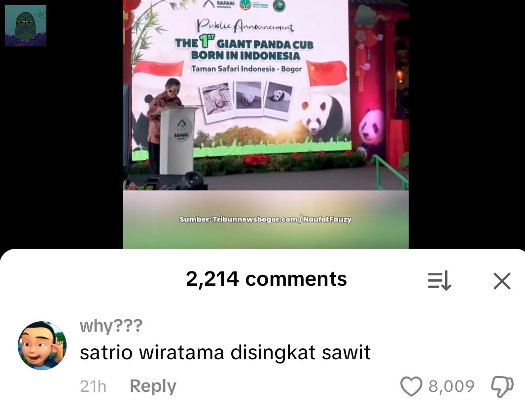 tanyakanrl's tweet image. Konteks nya, ada panda yang lahir di Indonesia. Sama si pak pres dikasih nama Satrio Wiratama 💚