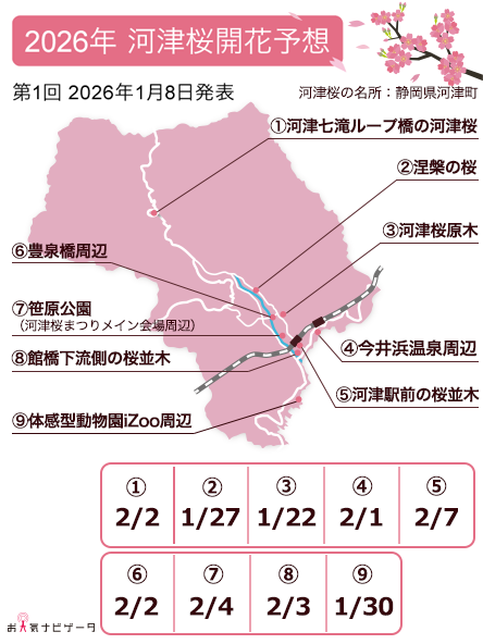 🌸第2回桜の開花予想🌸

第1回の発表と比べて
開花のスタートは1日遅くなり
3/20に東京・名古屋で
開花する見込み🏁

＼✨河津桜の開花予想が初登場！✨／
早咲きの桜として知られる河津桜🌸
1/22に河津桜原木で開花がスタートし、
2月上旬までに周辺のスポットでも
開花し始める予想🗓
