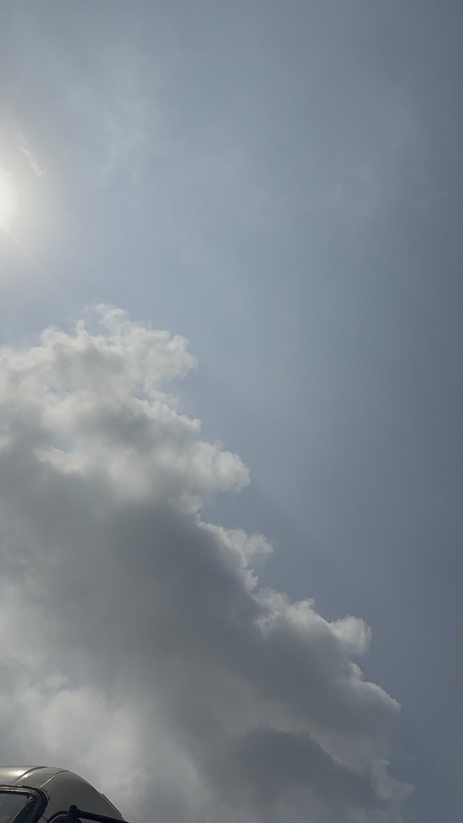 Bemi 🌸 tweet media