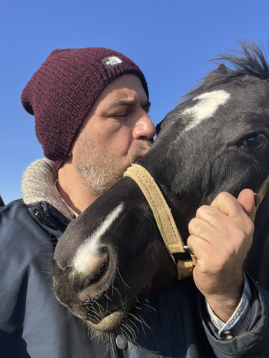 Bunlar Aegean Finale’nin Duru Kızım (Captain Rio) ve Sensiz Olmaz’dan (Three Valleys) doğan tayları. İkisinin de anaları al. Tayların fizikleri, don ve sekileri Agean Finale ve Not This Time özellikleri taşıyor. Bahtları açık olsun güzellerimizin.