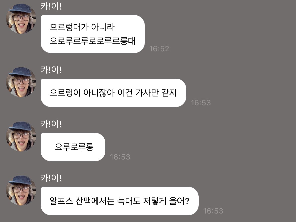 하 ㅅㅂ ㅠㅠ 카이 요들송 후기